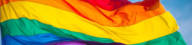 17 de maig, dia contra l’homofòbia, abracem i visibilitzem la diversitat